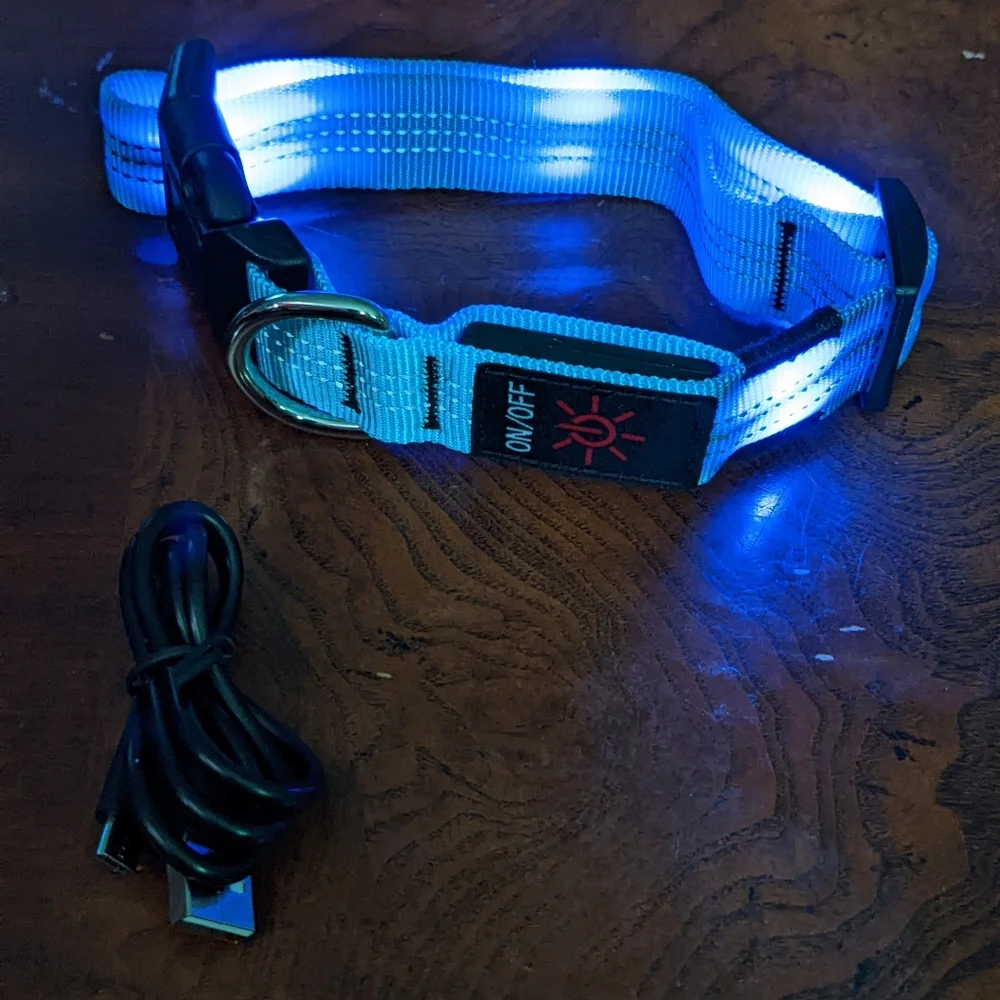 High Visibility Light Up Dog Collar Blue Size Small